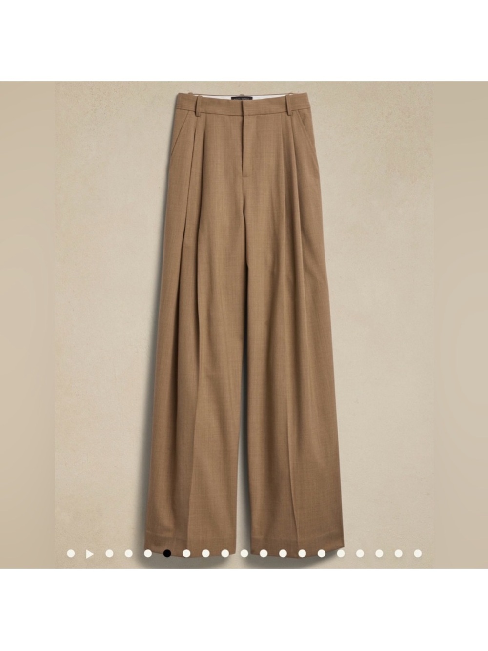 Banana Republic Siena High-Waist Wide-Leg Pleated Pants in Camel - Picture 4 of 4
